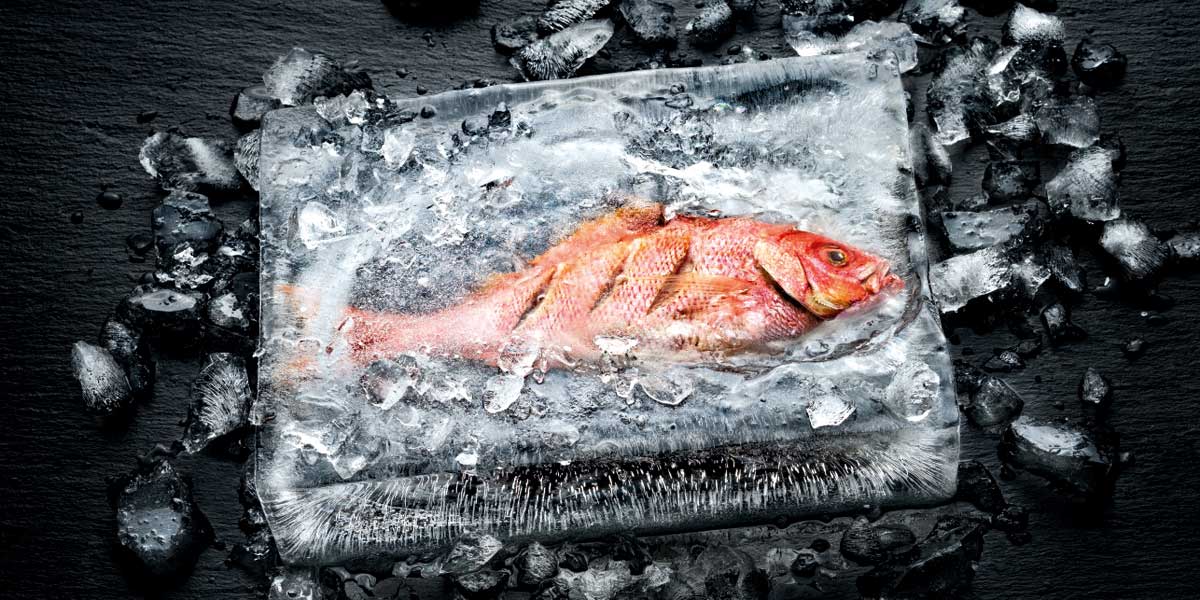 Fisch im Eis, Dialoggarer M Chef © Miele